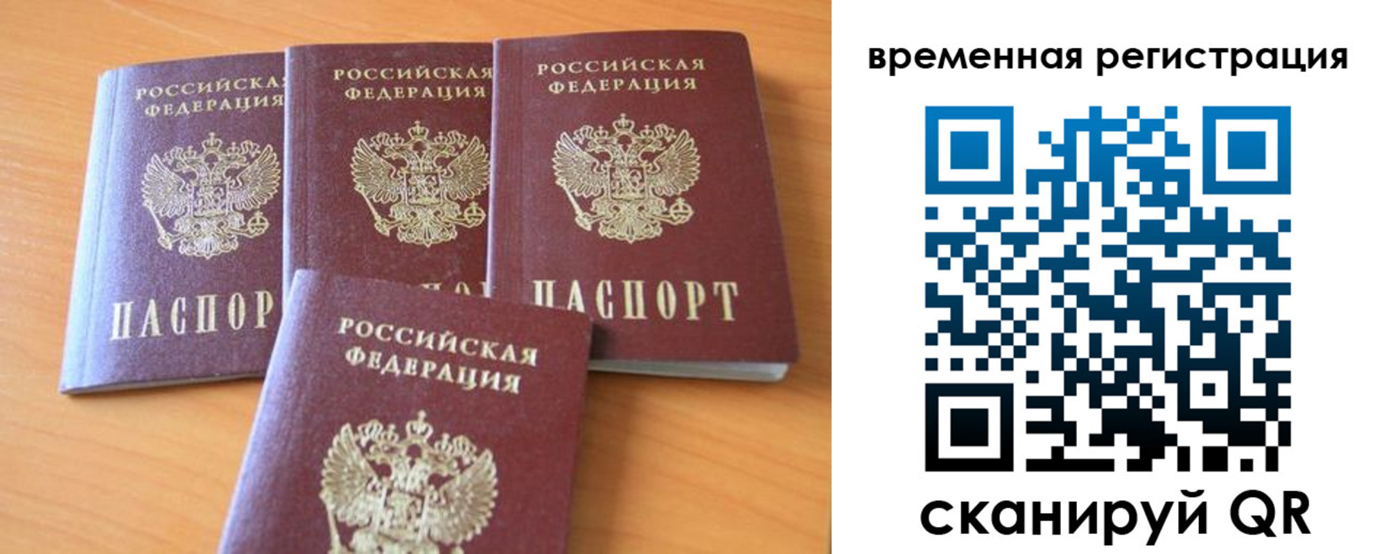 прописка для школы в Электростали